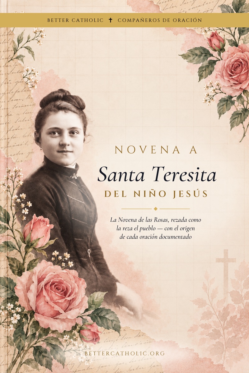 Novena a Santa Teresita del Niño Jesús — capa