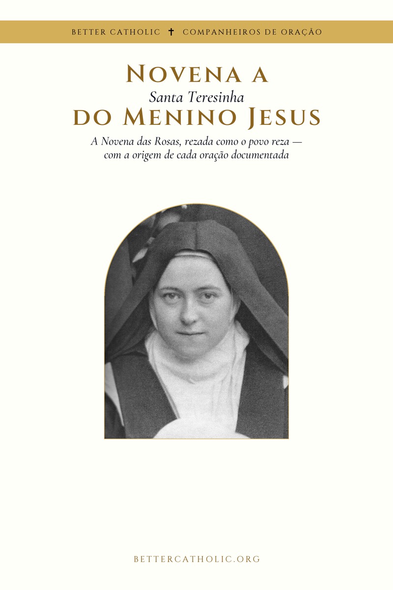 Capa do livro: Novena a Santa Teresinha do Menino Jesus